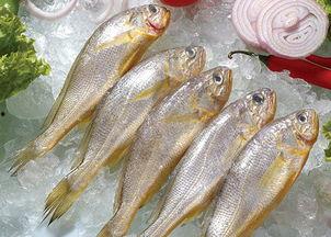 小黄鱼爆料新闻报道视频,揭秘新闻报道背后的真相  第3张