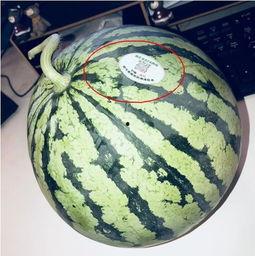 网红吃瓜的时候,揭秘娱乐圈幕后真相  第3张