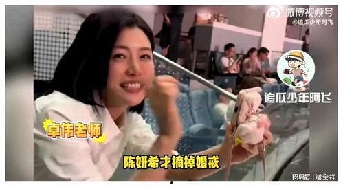 刘大锤最新爆料陈妍希,刘大锤独家爆料揭秘明星私生活  第1张